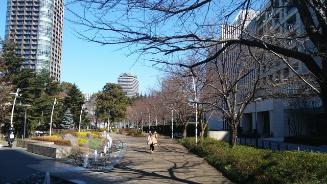 20190204_114427.jpg