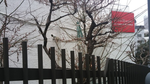 20190205_145735.jpg