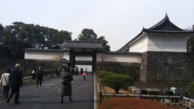 20190207_113804.jpg