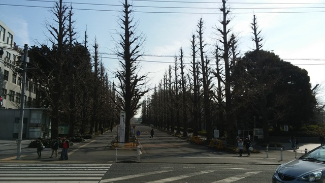 20190224_102218.jpg