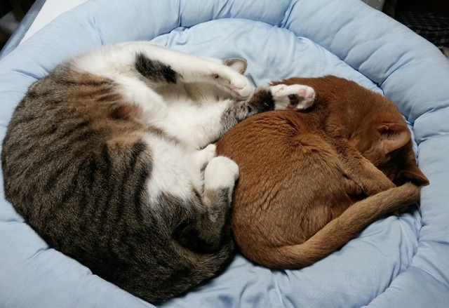 20190327_204258-1.jpg