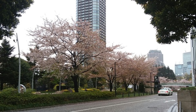 20190408_091457-1.jpg