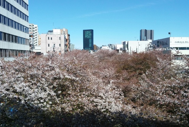 20190411_090244-1.jpg