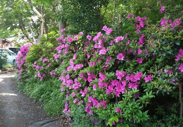20190503_135455-1.jpg