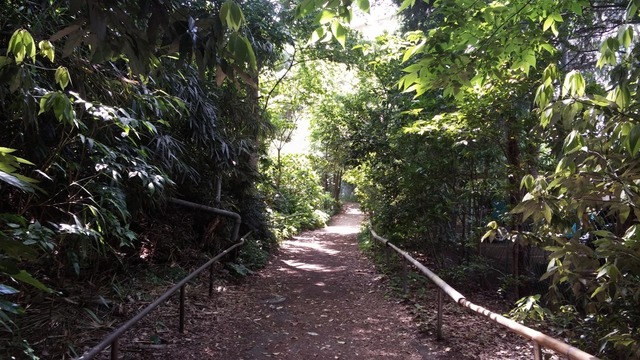 20190522_135529.jpg
