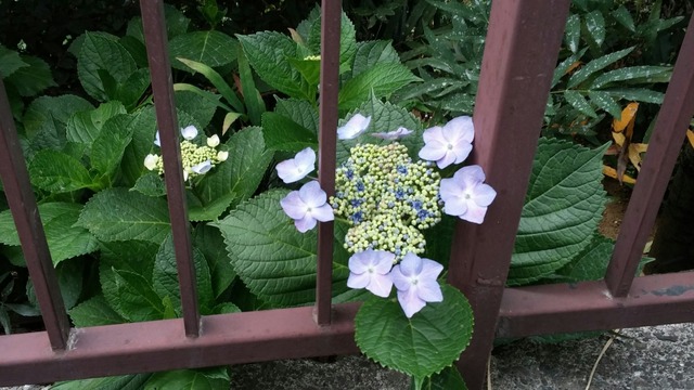 20190607_095004-1.jpg