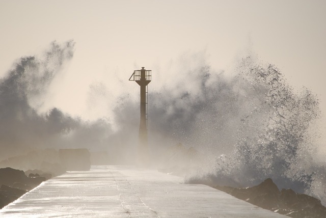 台風storm-1265246_1280.jpg