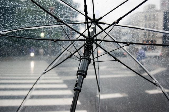 台風umbrella-4425160_1280.jpg