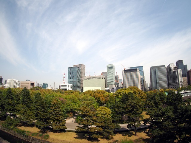 tokyo-731803_640.jpg