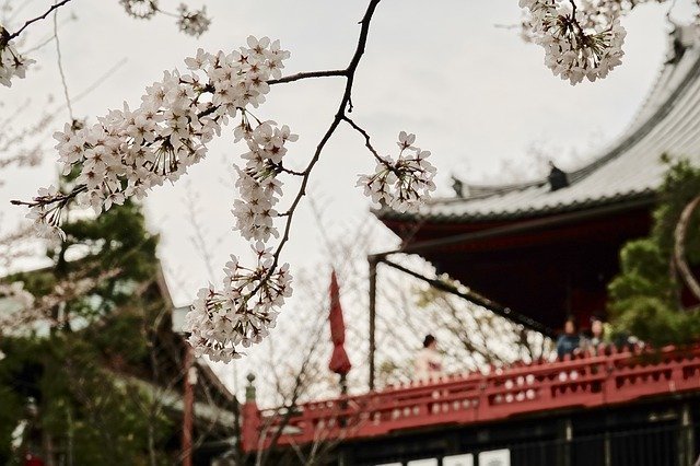 ueno-4556270_640.jpg
